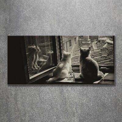 Acrylglas-Druck Katzen am Fenster