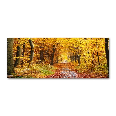 Acrylbild Fotodruck Wald im Herbst