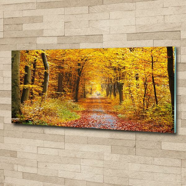 Acrylbild Fotodruck Wald im Herbst