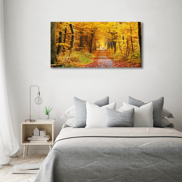 Acrylbild Fotodruck Wald im Herbst