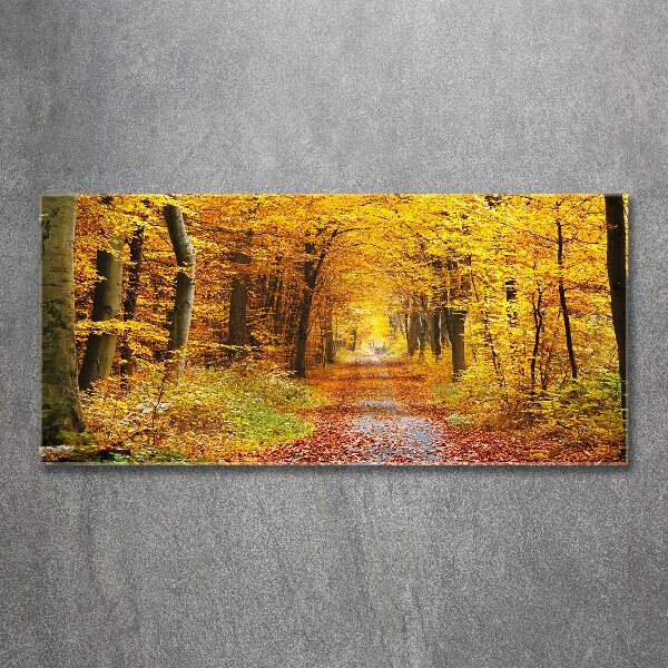Acrylbild Fotodruck Wald im Herbst