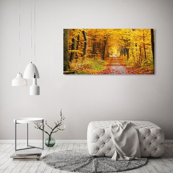 Acrylbild Fotodruck Wald im Herbst