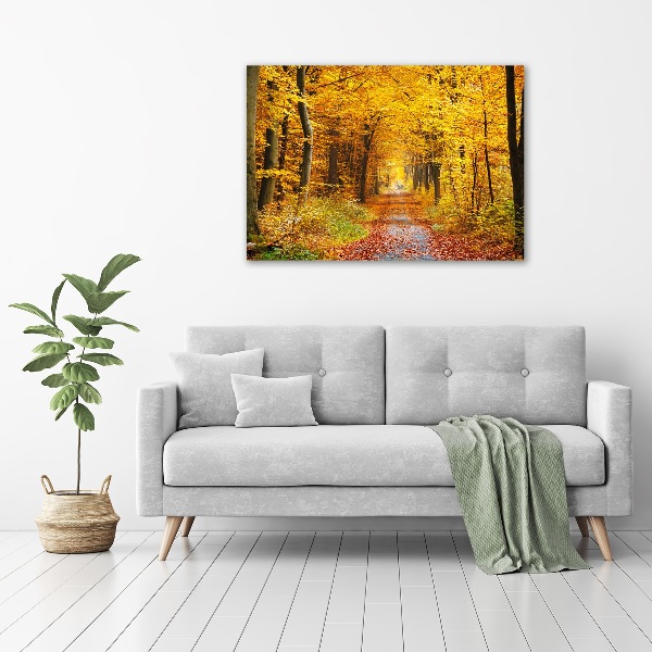Acrylbild Fotodruck Wald im Herbst