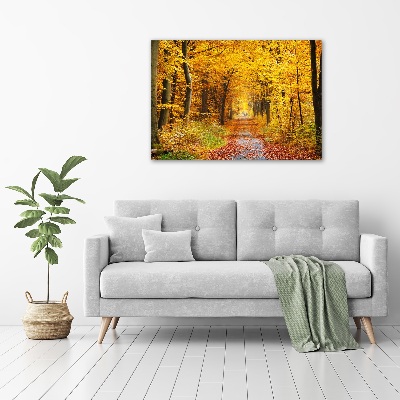 Acrylbild Fotodruck Wald im Herbst