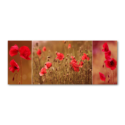 Foto auf Acryl Mohnblumen-Triptychon