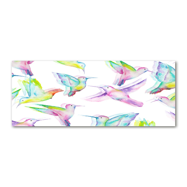 Acrylbild Fotodruck Kolibris