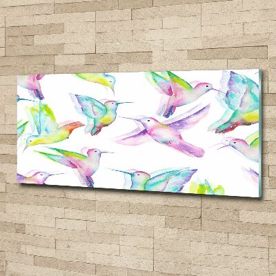 Acrylbild Fotodruck Kolibris