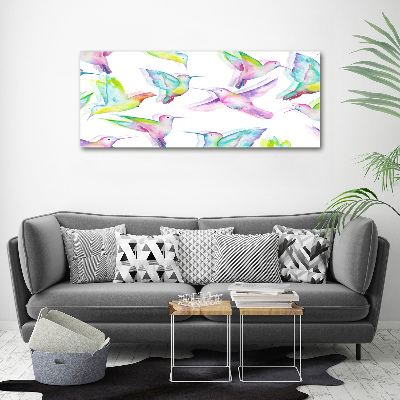 Acrylbild Fotodruck Kolibris