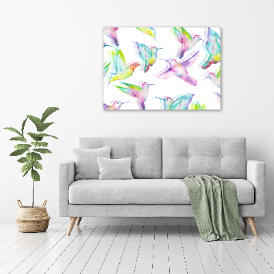 Acrylbild Fotodruck Kolibris