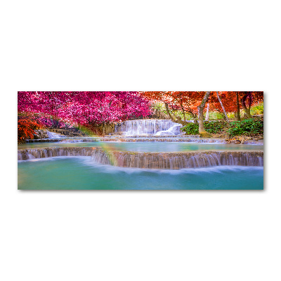 Foto auf Acryl Wasserfall im Wald