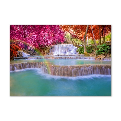 Foto auf Acryl Wasserfall im Wald