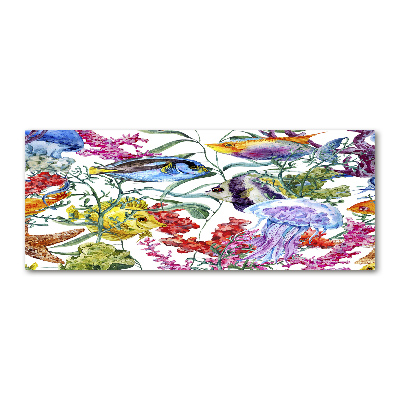 Acrylglas-Druck Korallenriff