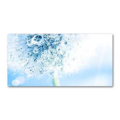 Acrylglas-Druck Löwenzahn