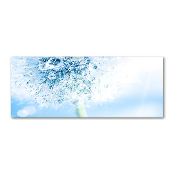 Acrylglas-Druck Löwenzahn