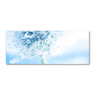 Acrylglas-Druck Löwenzahn