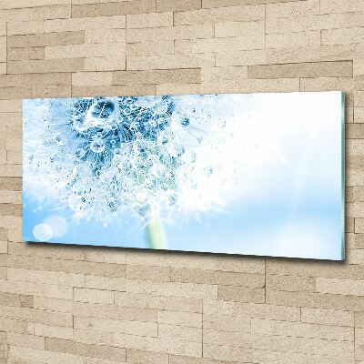 Acrylglas-Druck Löwenzahn