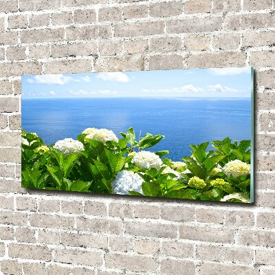 Acrylbild Fotodruck Blumen am Meer