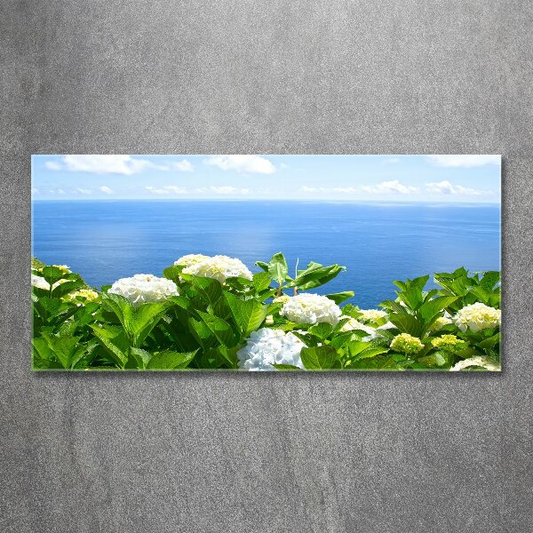 Acrylbild Fotodruck Blumen am Meer