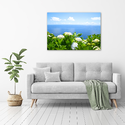 Acrylbild Fotodruck Blumen am Meer