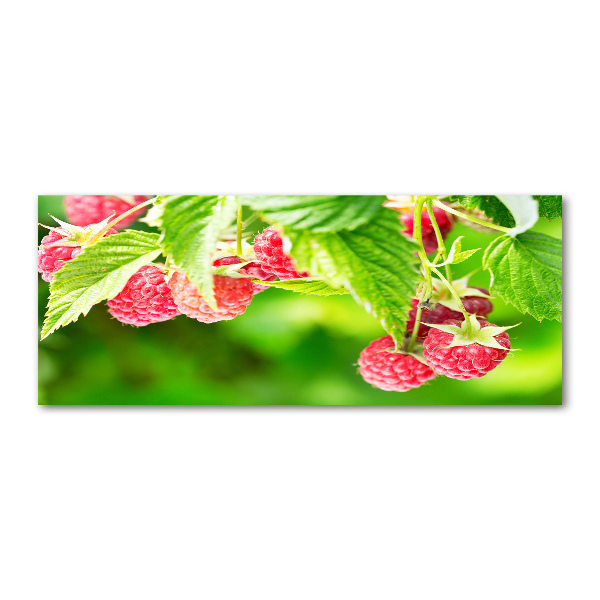 Acrylbild Fotodruck Himbeeren im Garten