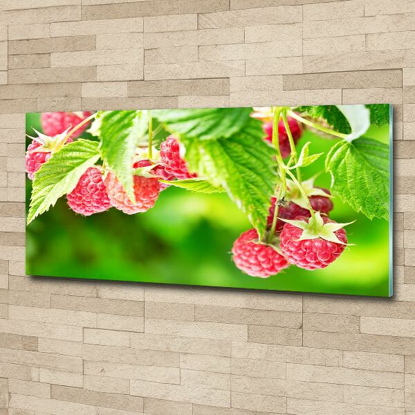 Acrylbild Fotodruck Himbeeren im Garten
