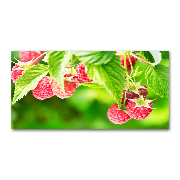 Acrylbild Fotodruck Himbeeren im Garten