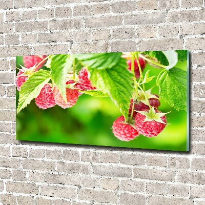 Acrylbild Fotodruck Himbeeren im Garten