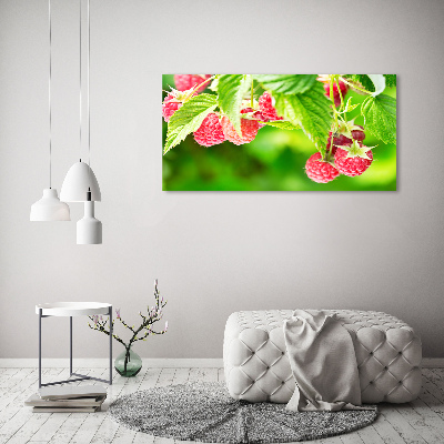 Acrylbild Fotodruck Himbeeren im Garten