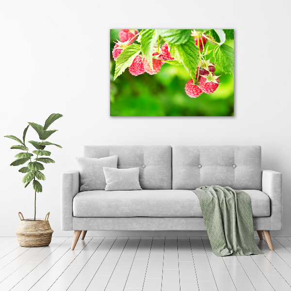 Acrylbild Fotodruck Himbeeren im Garten