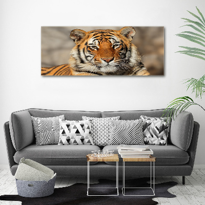 Bild auf Acrylglas Bengal-Tiger