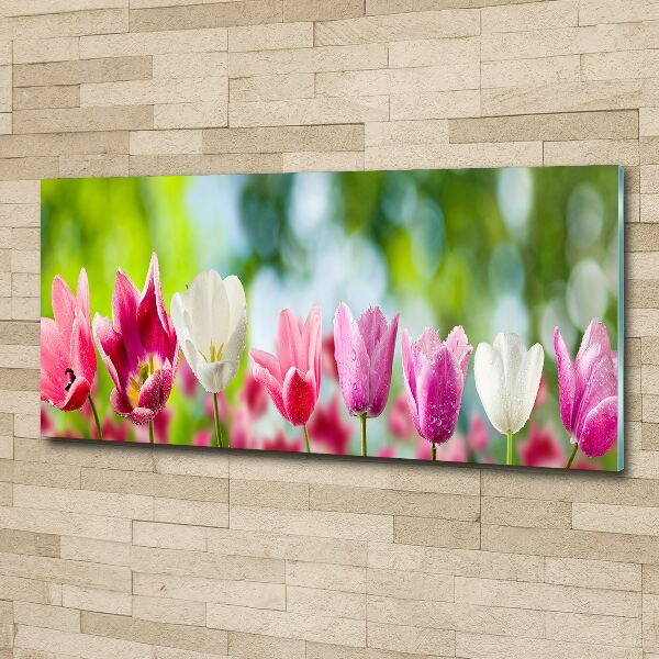 Acrylbild Fotodruck Tulpen