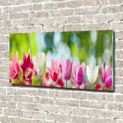 Acrylbild Fotodruck Tulpen
