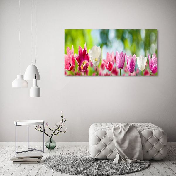 Acrylbild Fotodruck Tulpen