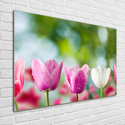 Acrylbild Fotodruck Tulpen