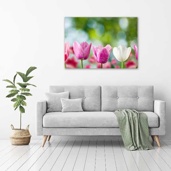 Acrylbild Fotodruck Tulpen