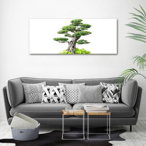 Acrylglas-Druck Bonsai-Baum