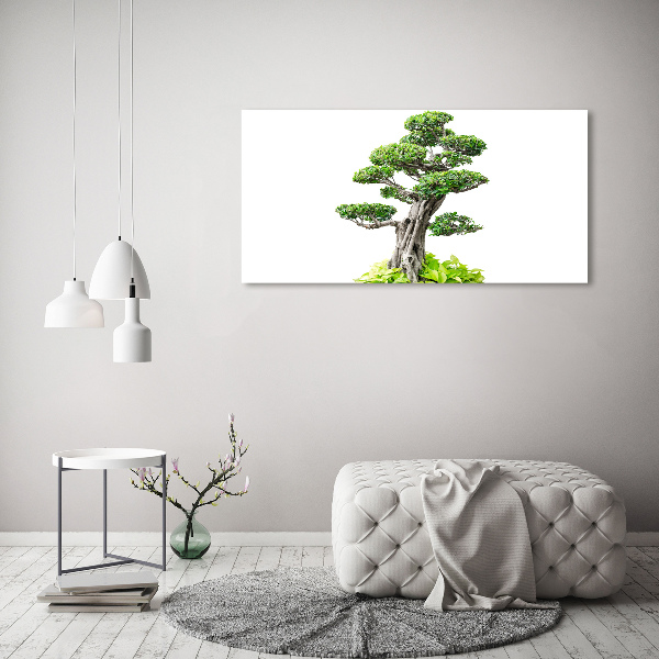 Acrylglas-Druck Bonsai-Baum