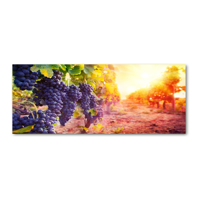 Foto auf Acryl Weinreben