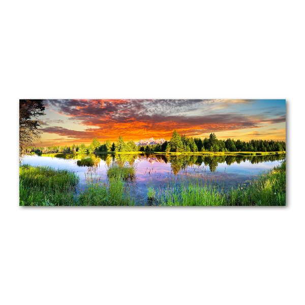 Acrylglas-Druck Fluss im Wald