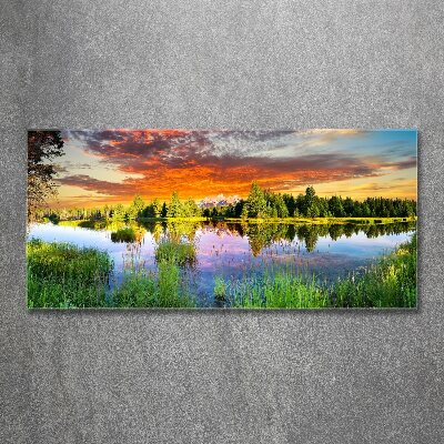 Acrylglas-Druck Fluss im Wald