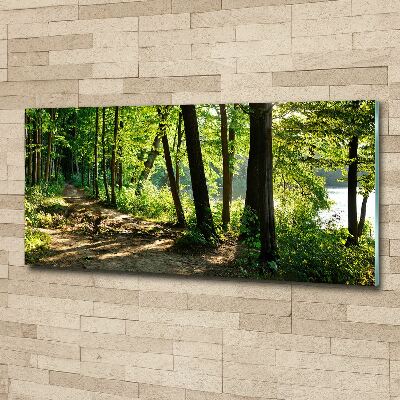 Foto auf Acryl Pfad in der Wiese