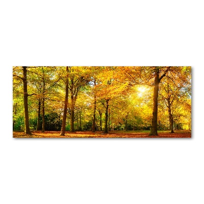 Acrylbild Fotodruck Wald im Herbst
