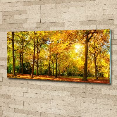 Acrylbild Fotodruck Wald im Herbst
