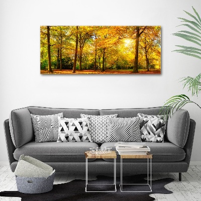 Acrylbild Fotodruck Wald im Herbst