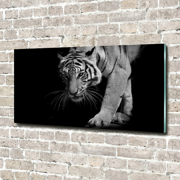 Acrylbild Fotodruck Tiger
