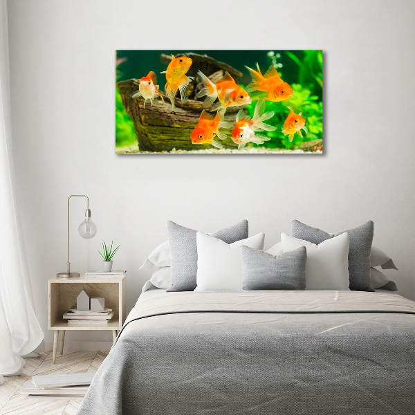 Acrylglas-Druck Goldfisch