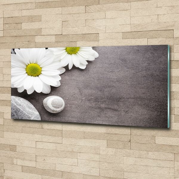 Acrylbild Fotodruck Gerbera