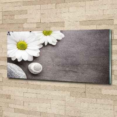 Acrylbild Fotodruck Gerbera