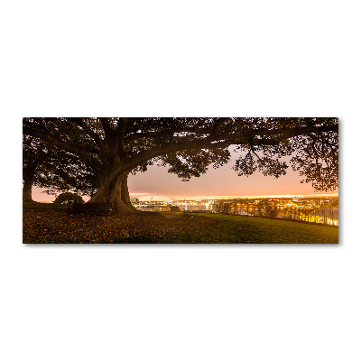 Acrylglas-Druck Alter Baum