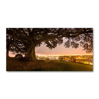 Acrylglas-Druck Alter Baum